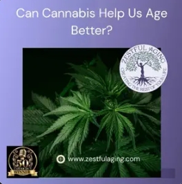 A graphic with cannabis leaves, a "Zestful Aging" logo, and the text "Can Cannabis Help Us Age Better?" along with a website link and a gold award seal.